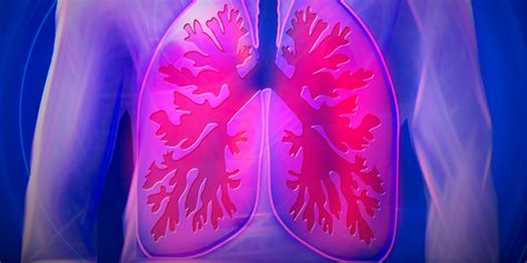 Cómo Funcionan Los Pulmones Y Qué Hacer Para Mejorar La Capacidad Pulmonar