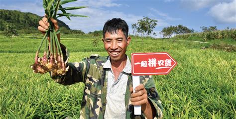 把电商扶贫助农从模式转变为范式，谁更大有可为？ 锋巢网