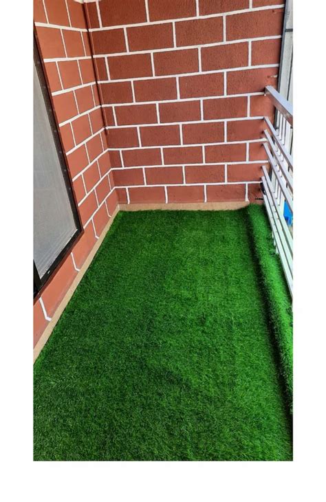 Natural Green Rectangular Mexican Lawn Grass For Garden 6 Feet At Rs