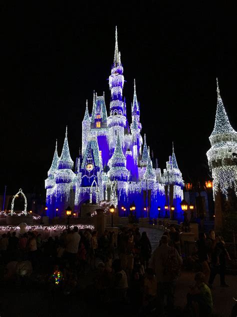 Cinderella Castle Evening View Thanksgiving 2016