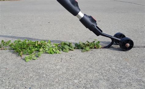 Comment Enlever Les Mauvaises Herbes Sur Une Terrasse Peut On Les