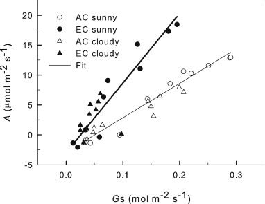 Relationships Between Stomatal Conductance GS And CO2 Assimilation