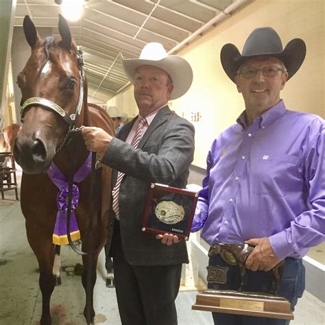 Gohorseshow Bee Jewelled Wins Congress Grand Champion Mare