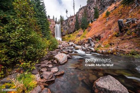 Wolf Creek Oregon Photos And Premium High Res Pictures Getty Images