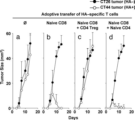 Regulatory T Cells Suppress Tumor Specific Cd8 T Cell Cytotoxicity