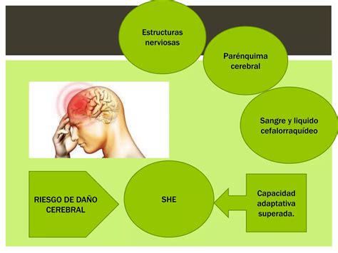 Sindrome De Hipertencion Endocraneana Ppt