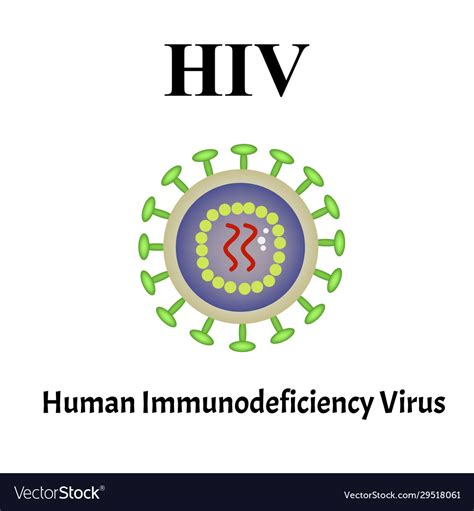 Hiv virus structure viral infection hiv aids Vector Image