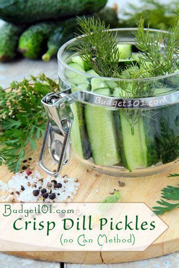 Overnight Crisp Dill Pickles Recipe