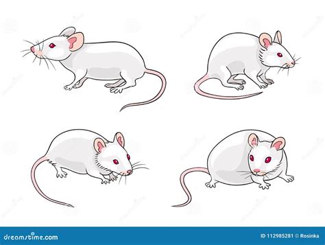 Mice Cartoons Illustrations And Vector Stock Images 21813 Pictures To