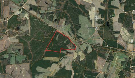 99 Acres Of Timberland In Lunenburg County Va