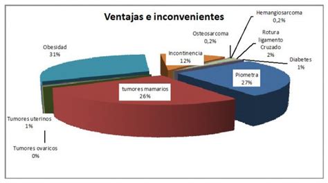 La esterilización en la perra Clínica veterinaria Bolta