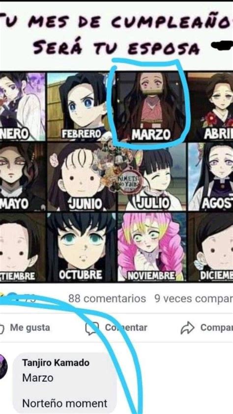 Pin De Elawita En Pins Creados Por Ti Memes De Anime Meme De Anime