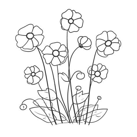 Dibujo De Jardín Flores Para Colorear Página Esquema Esbozo Vector PNG