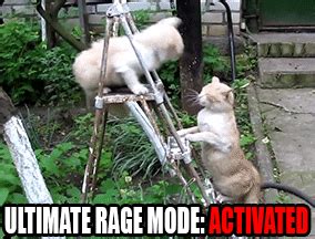 Ultimate Rage GIFs - Get the best GIF on GIPHY