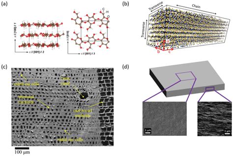 Crystalline Structure Of Cellulose And Morphology Of Wood And