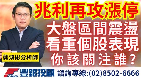 20230913龔鴻彬分析師｜兆利再攻漲停！大盤區間震盪，個股表現，你該關注誰？東陽、兆利、矽創、致新、敦泰、群光 Youtube