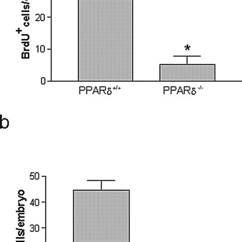 Peroxisome Proliferator Activated Receptor δ Pparδ Deletion Decreases