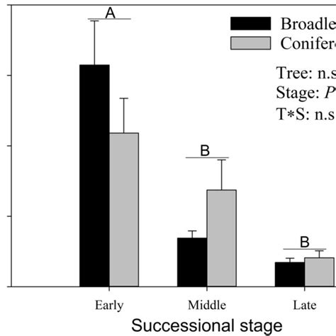 Soil Fertility In Soils Of Different Successional Stages Under