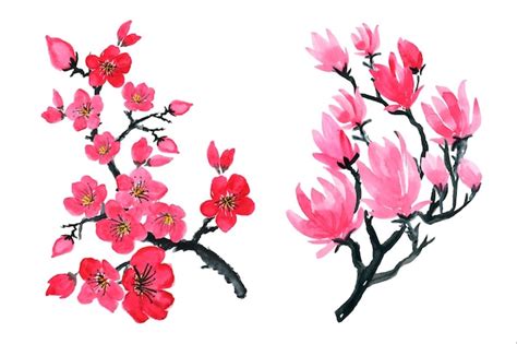 Premium Vector Japanese Plants Sakura Pink Cherry Blossom Flowers