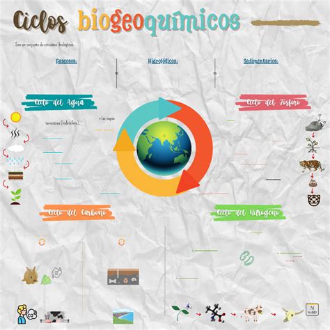 Infograf A Sobre Ciclos Biogeoqu Micos Es Un Ciclo Lento Y El