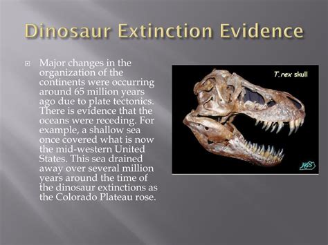 PPT - Dinosaur Extinction Evidence PowerPoint Presentation, free ...