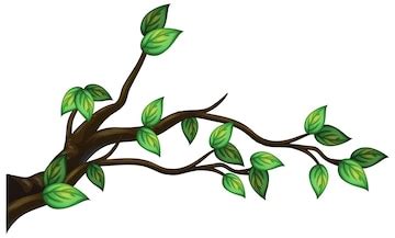 Branch Clipart Png - Tree Branch Vector Png Transparent PNG - Clip Art ...