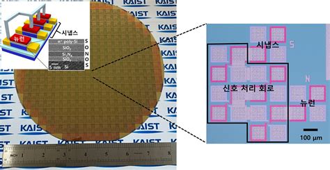 Kaist 인간 뇌 모방한뉴로모픽 반도체 개발뉴런·시냅스 기능 동시 수행도 가능 전자신문