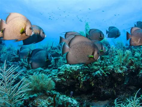 Cinco Maravillas Patrimonio De La Humanidad Que Hay Que Visitar En