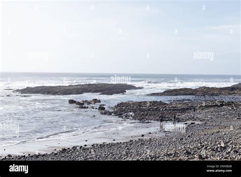 Beachcombers At Bob Creek Beach Near Yachats Oregon Stock Photo Alamy
