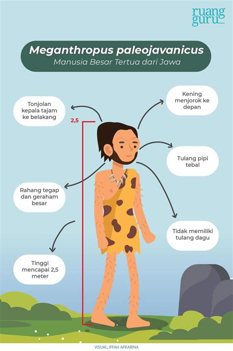 Manusia Purba yang Ditemukan di Indonesia | Sejarah Kelas 10