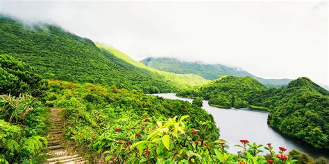 Dominica Citizenship By Investment Sanctuary Rainforest Eco Resort