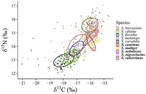 Diversity Free Full Text Comparison Of Trophic Niche Position Size