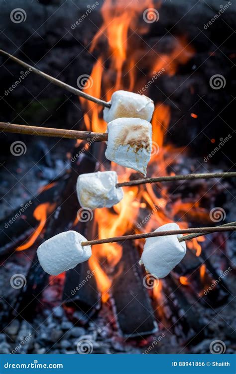Sweet And Hot Marshmallows On Stick Over The Bonfire Stock Photo Image Of White Puffy