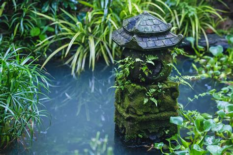 The Best Pond Plants To Grow In Your Garden Pond | Lets Do Garden