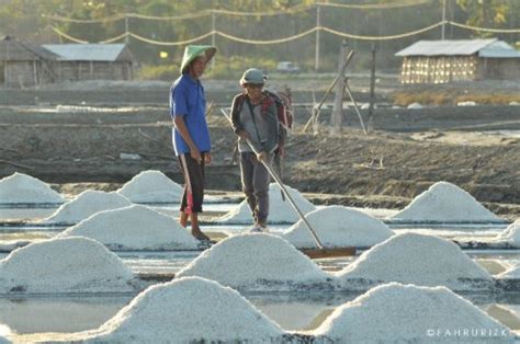 Sebanyak 1 1 Juta Ton Garam Lokal Akan Diserap Industri Pelaku Bisnis