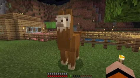 Minecraft Llamas Gauide How To Tame And Ride Llamas Without Saddle