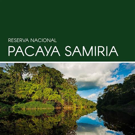 Reserva Nacional Pacaya Samiria Conservar Ecosistemas Representativos