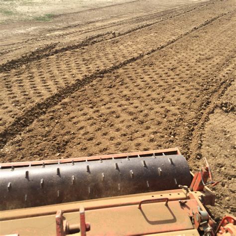 Southend on Sea Cricket Club Wicket Renovation | Fineturf