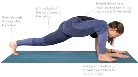 Lizard Pose Yoga Tips Yogauonline