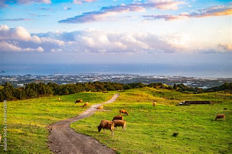 Beautiful scenery of Jeju Island :제주도의 아름다운 풍경 Stock Photo | Adobe Stock