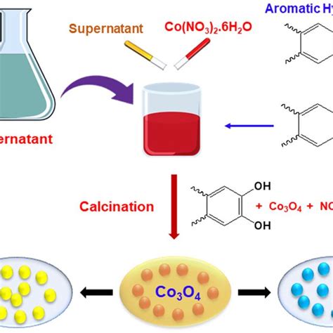 Schematic Diagram Of The Synthesis Of Nanoparticles Along With The