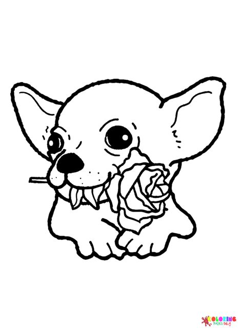 Chihuahua Coloring Pages Printable For Free Download