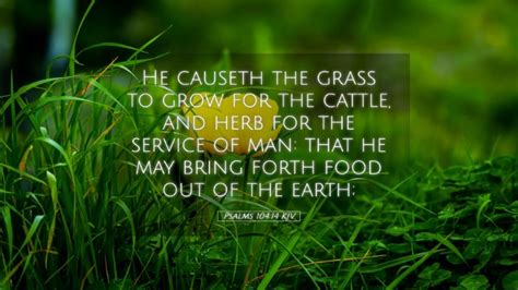 Psalms Kjv Desktop Wallpaper He Causeth The Grass To Grow For