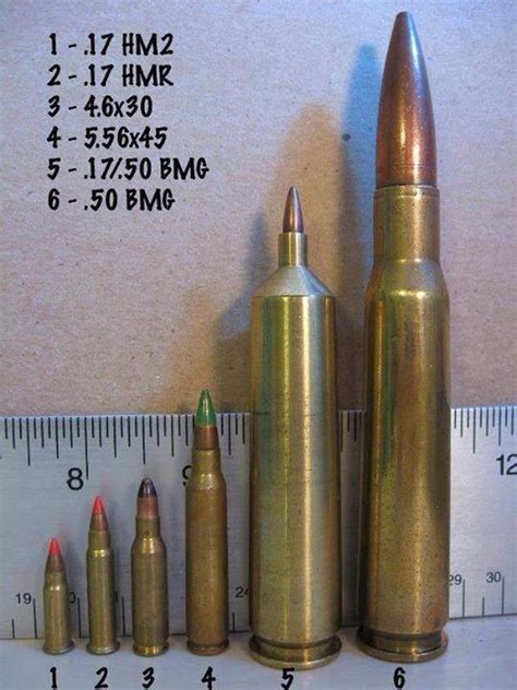 Ammo Guide Rcoolguides