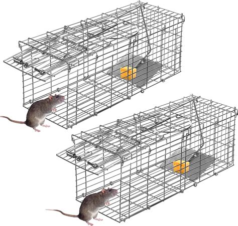 Amazon 2 Pack Mouse Traps Humane Rat Trap Collapsible Live