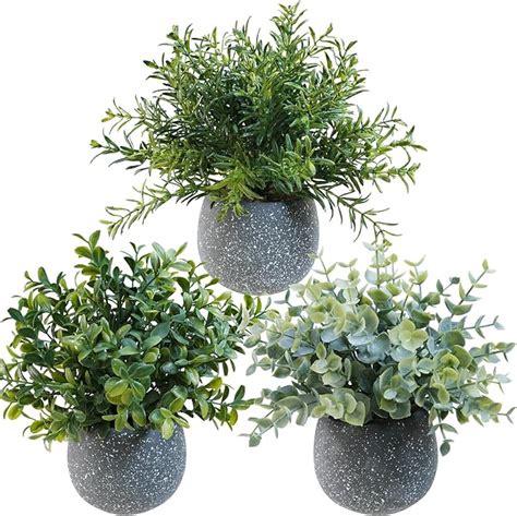 Amazon Winlyn Set Of Small Artificial Potted Plants Fake