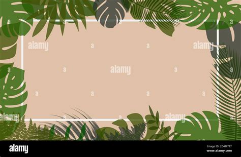 Natural Horizontal Vector Background With Tropical Leaves In Pastel