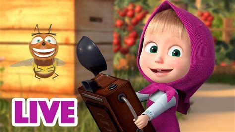 🔴 Live 🐻👧 Masha Y El Oso 2023 📷😍 Especie De Hobby 🎬 Masha And The Bear