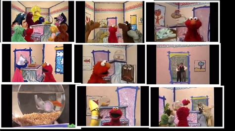 Elmos World Various Song Combined Youtube