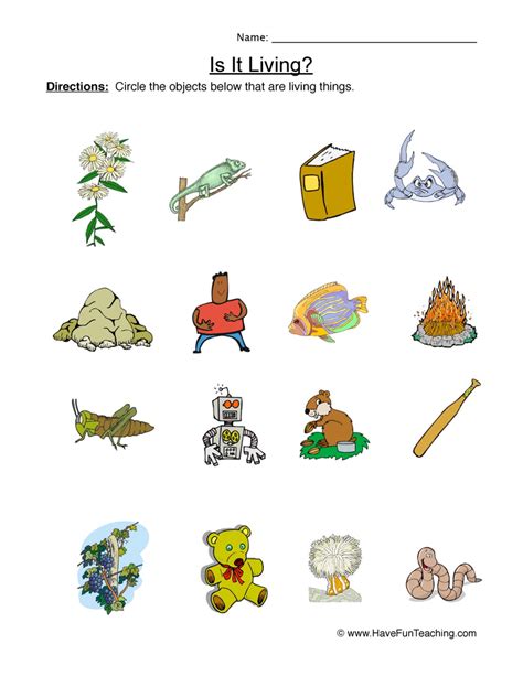 Living And Non Living Things Worksheet For Kinder Free Worksheets